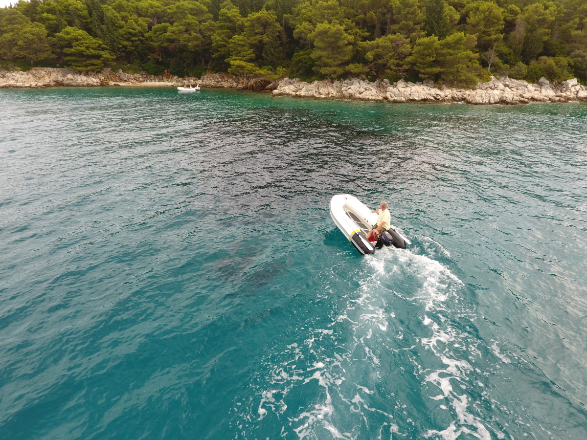 ZAR mini RIB Lite