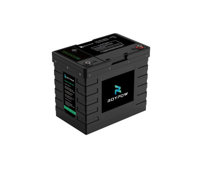 RoyPow LiFePO4 Lithium-Batterie 12V 50Ah 567600